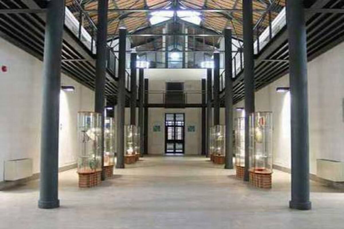 Scuola-del-Vetro-Abate-Zanetti-a-Murano