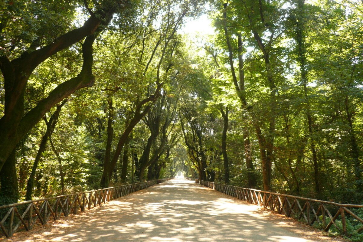Viale_Centrale_-_parco_di_Capodimonte