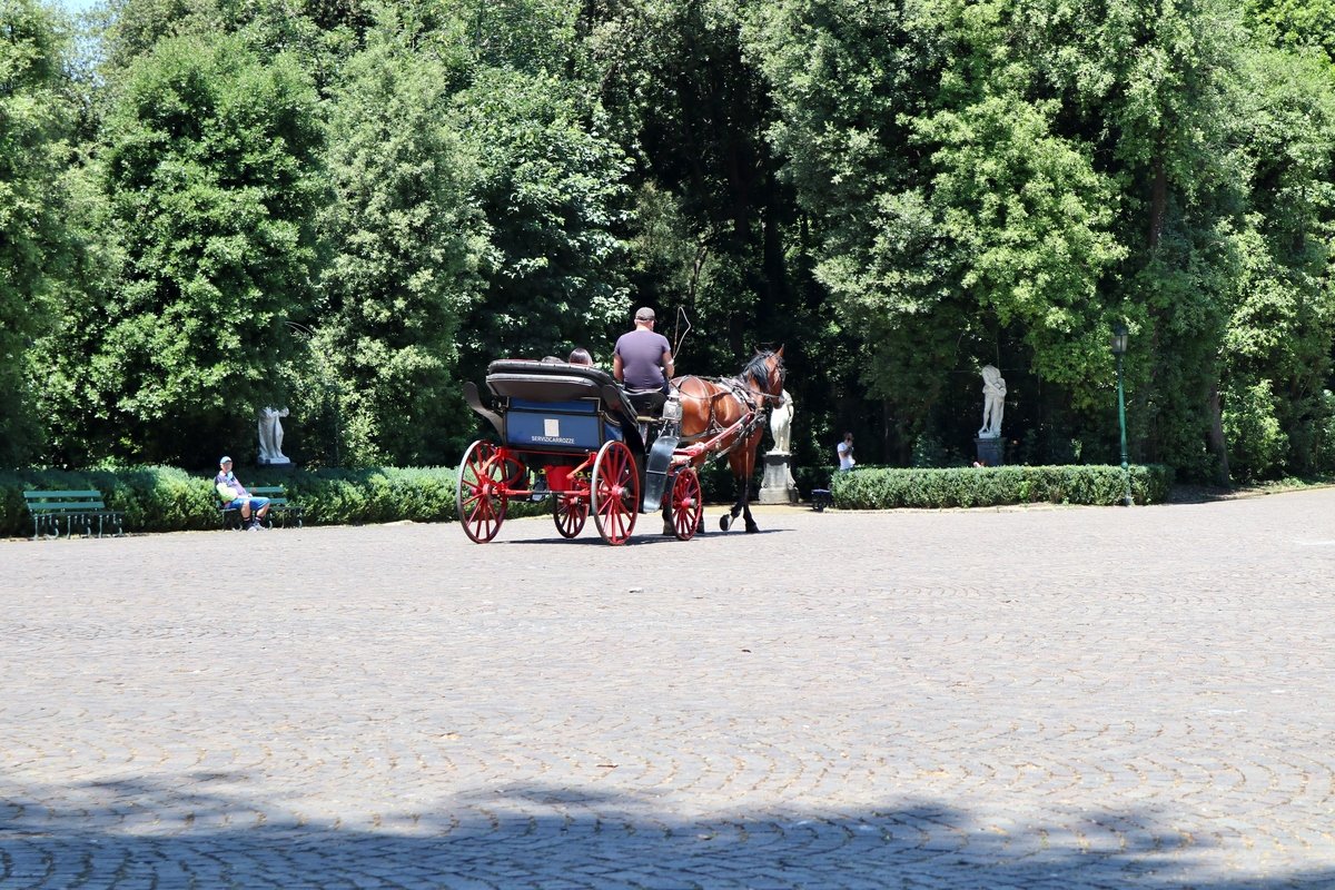 Naples – Tourists in carriage at The Real Bosco di Capodimonte