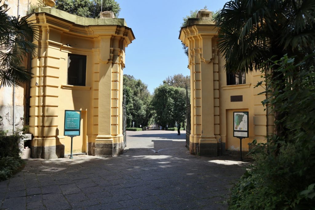 Real bosco di Capodimonte – Napoli
