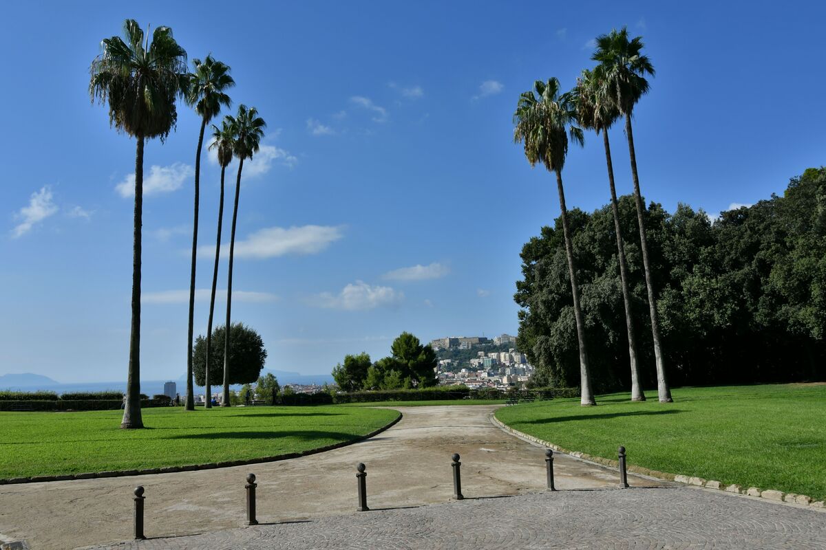 The Capodimonte wood in Naples, Italy.